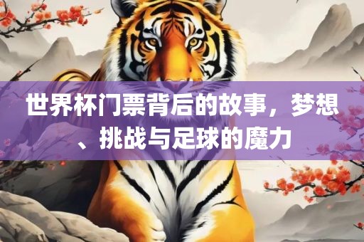 世界杯门票背后的故事，梦想、挑战与足球的魔力