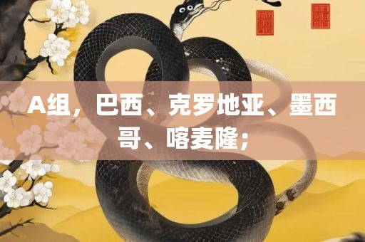 A组，巴西、克罗地亚、墨西哥、喀麦隆；