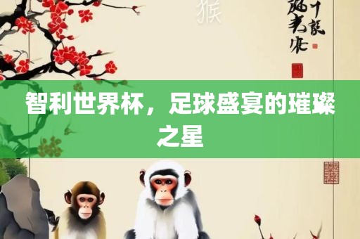 智利世界杯，足球盛宴的璀璨之星