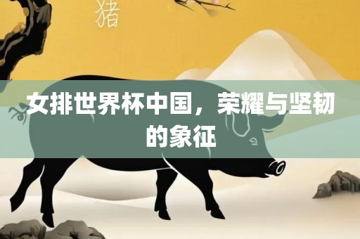 女排世界杯中国，荣耀与坚韧的象征