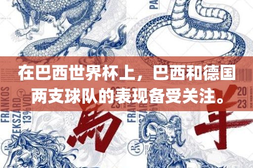 在巴西世界杯上，巴西和德国两支球队的表现备受关注。