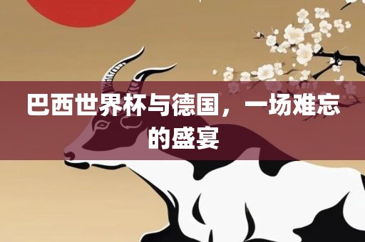 巴西世界杯与德国，一场难忘的盛宴