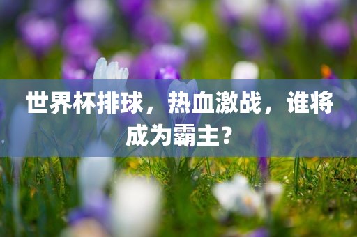 世界杯排球，热血激战，谁将成为霸主？