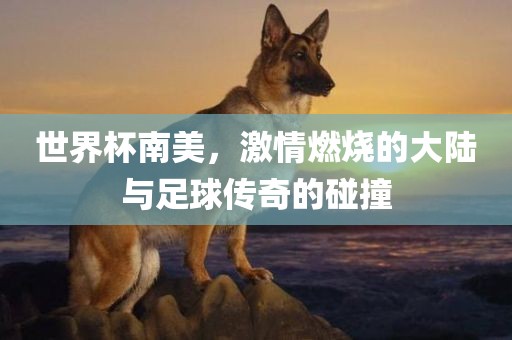 世界杯南美，激情燃烧的大陆与足球传奇的碰撞