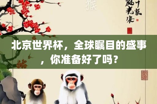 北京世界杯，全球瞩目的盛事，你准备好了吗？