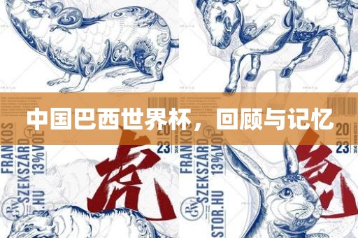 中国巴西世界杯，回顾与记忆