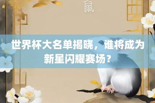 世界杯大名单揭晓，谁将成为新星闪耀赛场？
