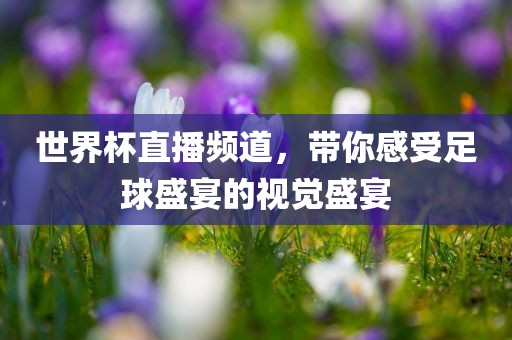 世界杯直播频道，带你感受足球盛宴的视觉盛宴