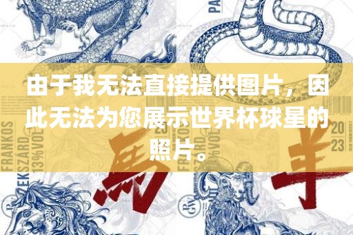 由于我无法直接提供图片，因此无法为您展示世界杯球星的照片。