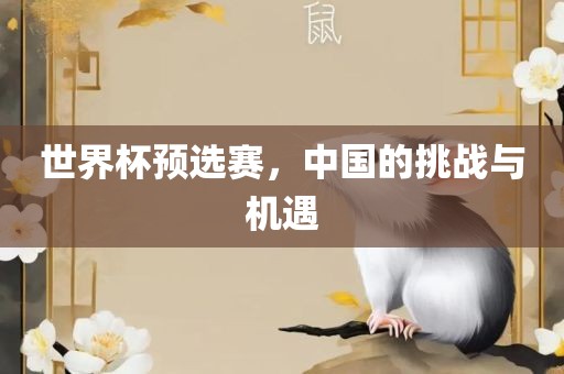 世界杯预选赛，中国的挑战与机遇