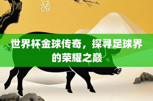 世界杯金球传奇，探寻足球界的荣耀之巅