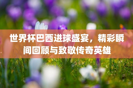 世界杯巴西进球盛宴，精彩瞬间回顾与致敬漯河市盈旭机械设备有限公司传奇英雄