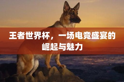 王者世界杯漯河市盈旭机械设备有限公司，一场电竞盛宴的崛起与魅力