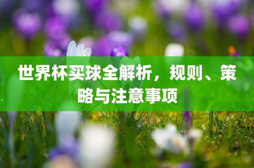 世界杯买球全解析，规则、策略与注意事项