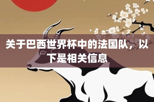 关于巴西世界杯中的法国队，以下是相关信息