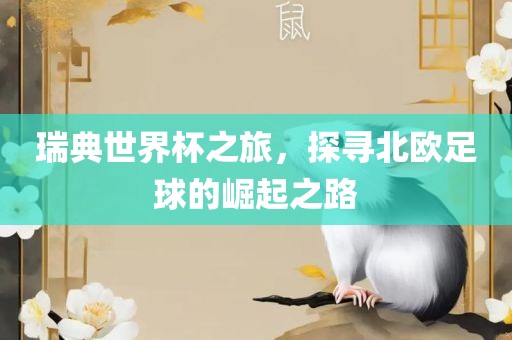 瑞典世界杯之旅，探寻北欧足球的崛起之路