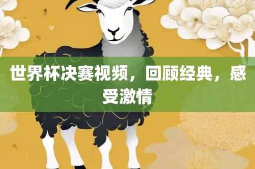 世界杯决赛视频，回顾经典，感受激情