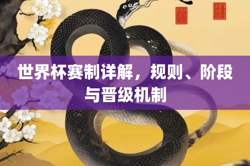 世界杯赛制详解，规则、阶段与晋级机制