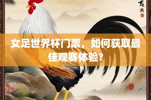 女足世界杯门票，如何获取最佳观赛体验？