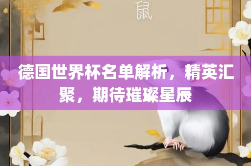 德国世界杯名单解析，精英汇聚，期待璀璨星辰