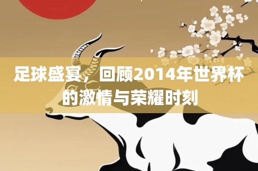 足球盛宴，回顾2014年世界杯的激情与荣耀时刻