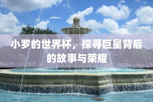小罗的世界杯，探寻巨星背后的故事与荣耀
