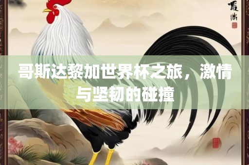 哥斯达黎加世界杯之旅，激情与坚韧的碰撞