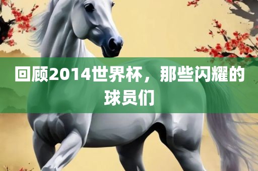 回顾2014世界杯，那些闪耀的球员们