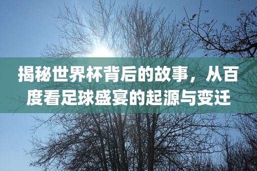 揭秘世界杯背后的故事，从百度看足球盛宴的起源与变迁