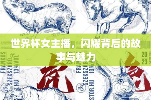 世界杯女主播，闪耀背后的故事与魅力
