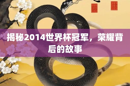 揭秘2014世界杯冠军，荣耀背后的故事