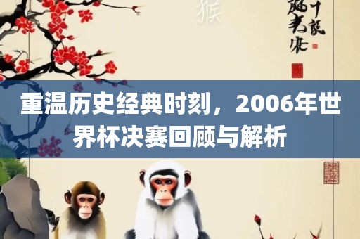 重温历史经典时刻，2006年世界杯决赛回顾与解析