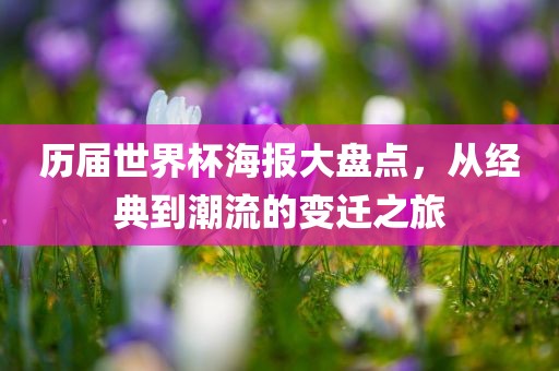历届世界杯海报大盘点，从经典到潮流的变迁之旅