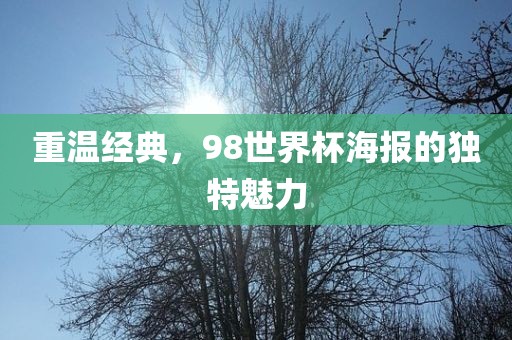 重温经典，98世界杯海报的独特魅力