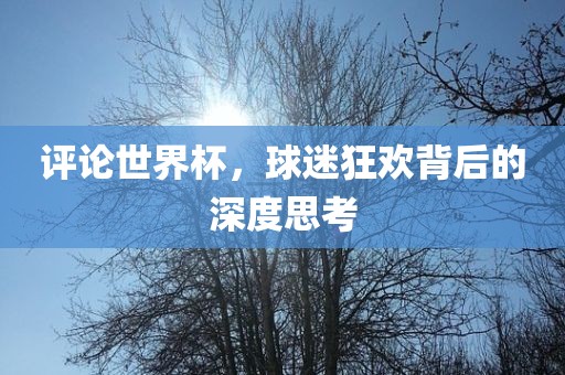 评论世界杯，球迷狂欢背后的深度思考