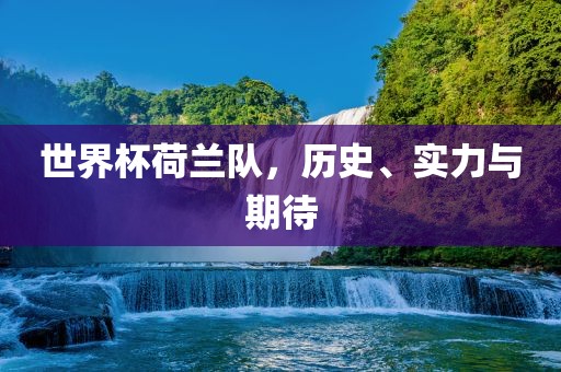 世界杯荷兰队，历史、实力与期待