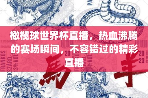 橄榄球世界杯直播，热血沸腾的赛场瞬间，不容错过的精彩直播