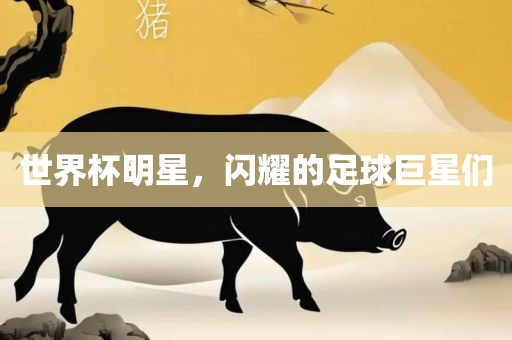 世界杯明星，闪耀的足球巨星们