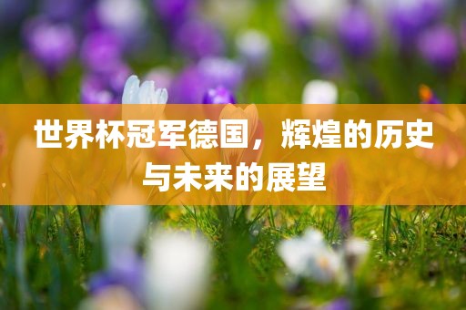 世界杯冠军德国，辉煌的历史与未来的展望
