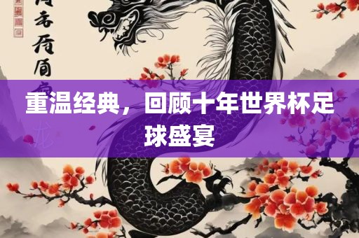 重温经典，回顾十年世界杯足球盛宴