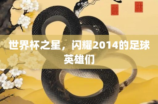 世界杯之星，闪耀2014的足球英雄们