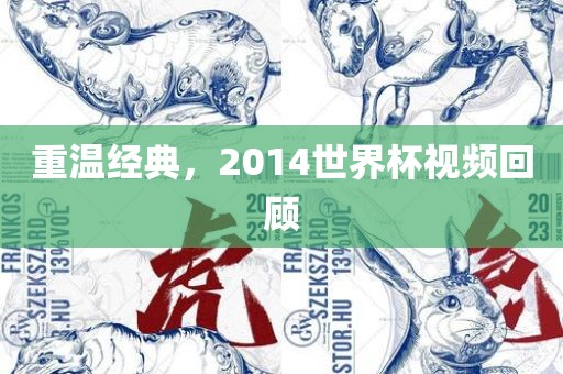 重温经典，2014世界杯视频回顾
