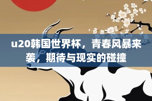 u20韩国世界杯，青春风暴来袭，期待与现实的碰撞