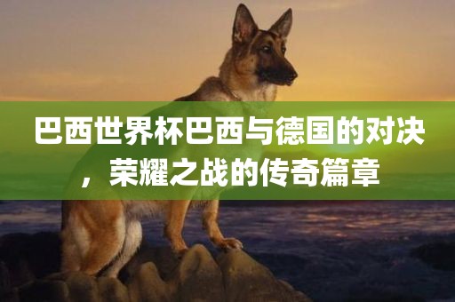 巴西世界杯巴西与德国的对决，荣耀之战的传奇篇章