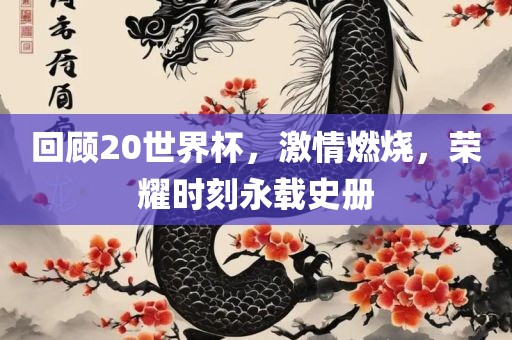 回顾20世界杯，激情燃烧，荣耀时刻永载史册漯河市盈旭机械设备有限公司