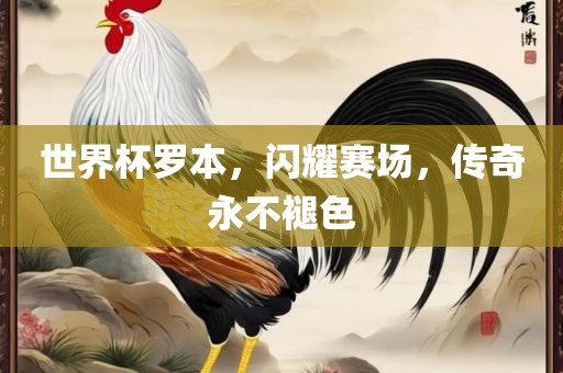 世界杯罗本，闪耀赛场，传奇永不褪色