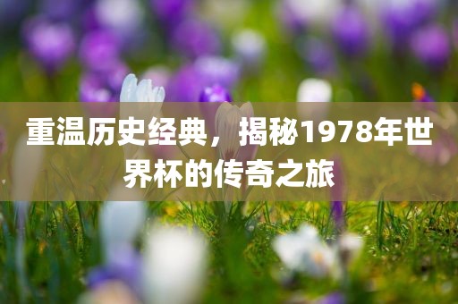 重温历史经典，揭秘1978年世界杯的传奇之旅