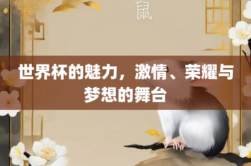 世界杯的魅力，激情、荣耀与梦想的舞台