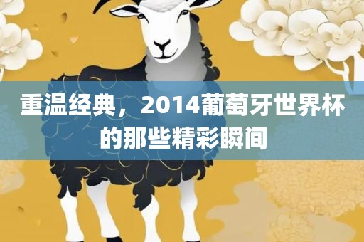 重温经典，2014葡萄牙世界杯的那些精彩瞬间