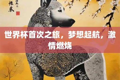 世界杯首次之旅，梦想起航，激情燃烧